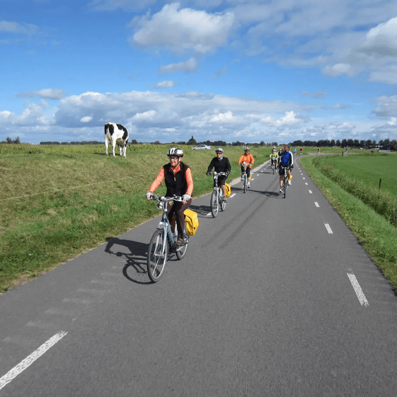 Webdesign Grootebroek, Webdesign Snel een webdesigner - Boost jouw Online Succes met onze Hulp